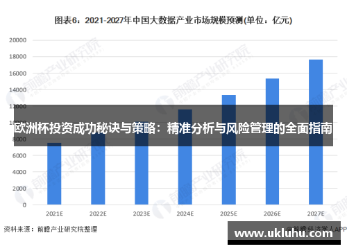 欧洲杯投资成功秘诀与策略：精准分析与风险管理的全面指南