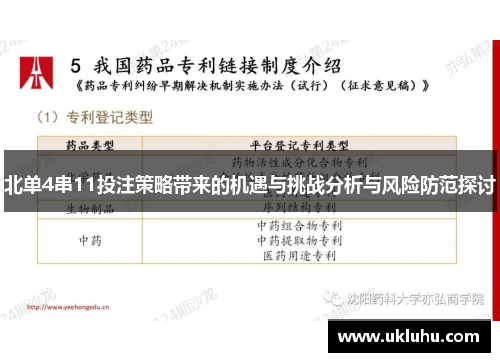 北单4串11投注策略带来的机遇与挑战分析与风险防范探讨