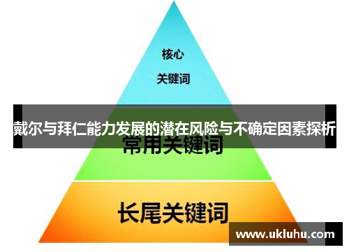 戴尔与拜仁能力发展的潜在风险与不确定因素探析 戴尔与拜仁能力发展的潜在风险与不确定因素探析